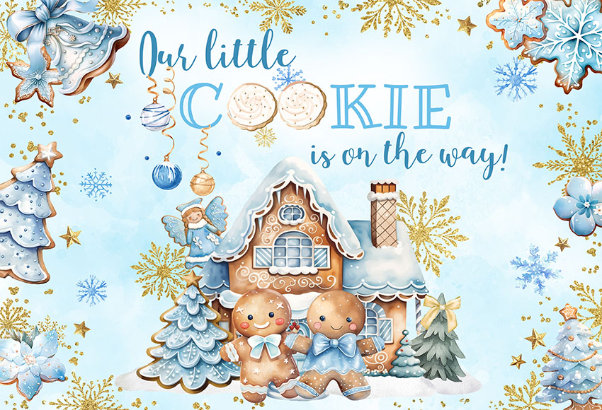 Christmas Gingerbread Baby Sho - Dessert Table Backdrop review and price